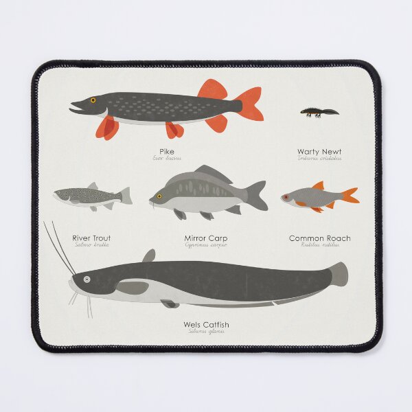 Item preview, Native Aquatic Animals Infographic / Display Board (German) designed and sold by Iris Luckhaus.