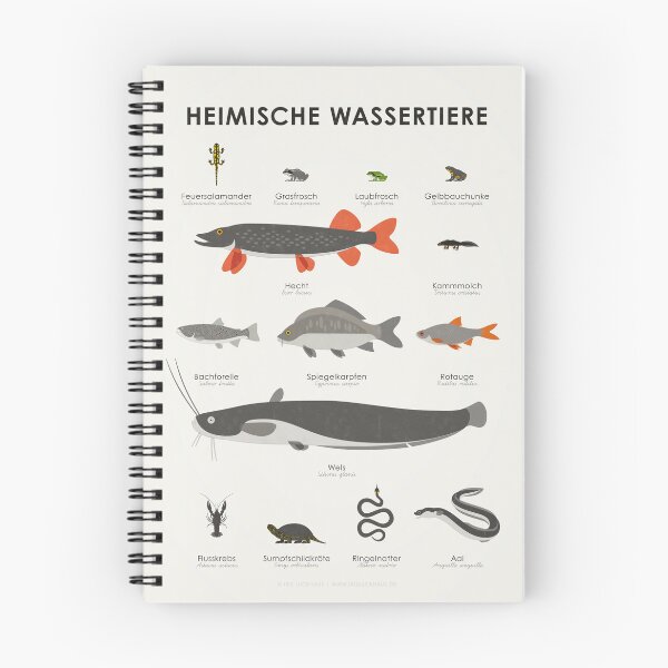 Item preview, Native Aquatic Animals Infographic / Display Board (German) designed and sold by Iris Luckhaus.