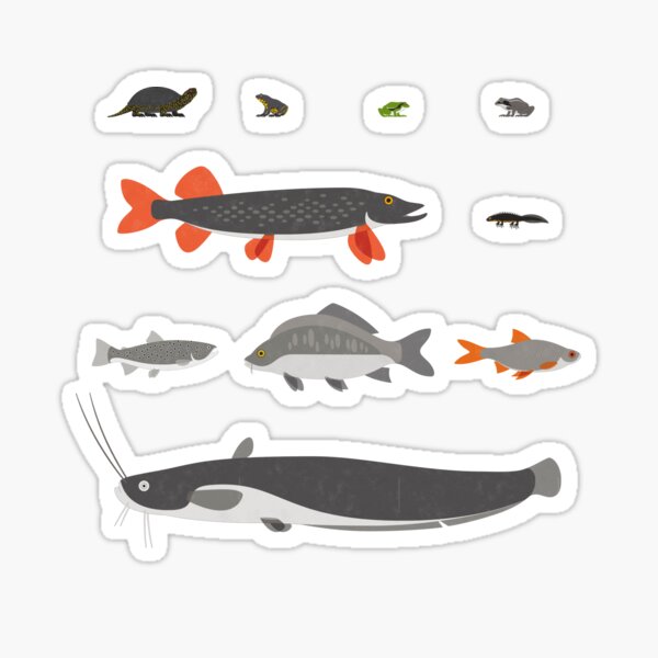 Heimische Wassertiere Infografik / Schautafel (Deutsch) Sticker