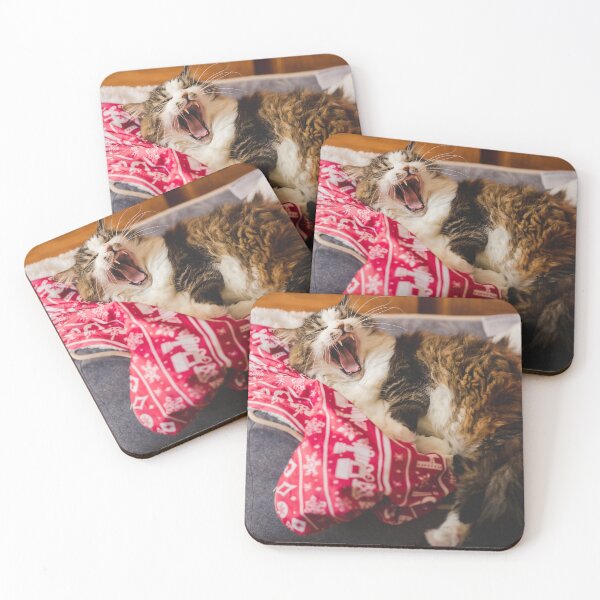 Item preview, Cat On Christmas Blanket Pet Bed Cutest Cat Pics designed and sold by CutestCatPics.