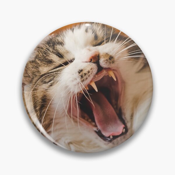 Item preview, Cat On Christmas Blanket Pet Bed Cutest Cat Pics designed and sold by CutestCatPics.
