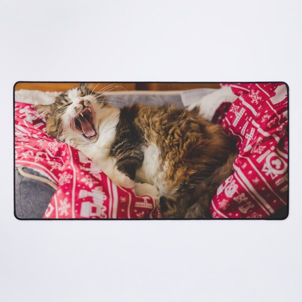Item preview, Cat On Christmas Blanket Pet Bed Cutest Cat Pics designed and sold by CutestCatPics.