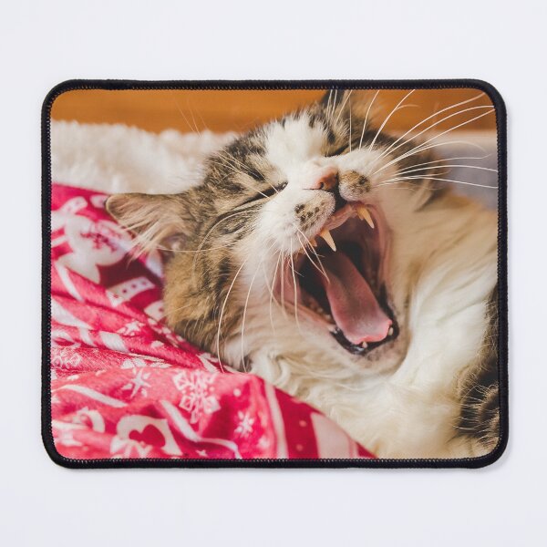 Item preview, Cat On Christmas Blanket Pet Bed Cutest Cat Pics designed and sold by CutestCatPics.