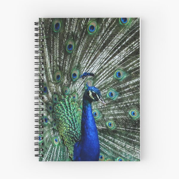 Item preview, Beautiful Flared Peacock designed and sold by pocketurtle.