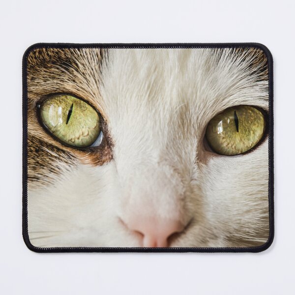 Item preview, Cat Face Black And White Female Cutest Cat Pics designed and sold by CutestCatPics.