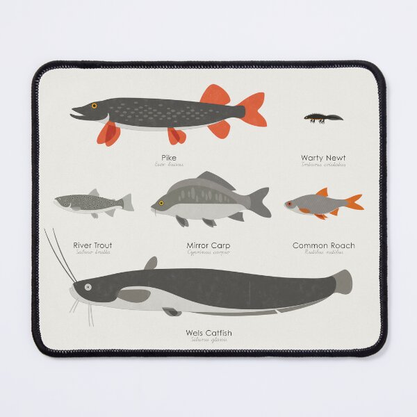 Item preview, Common Water Animals Identification Chart designed and sold by Iris Luckhaus.