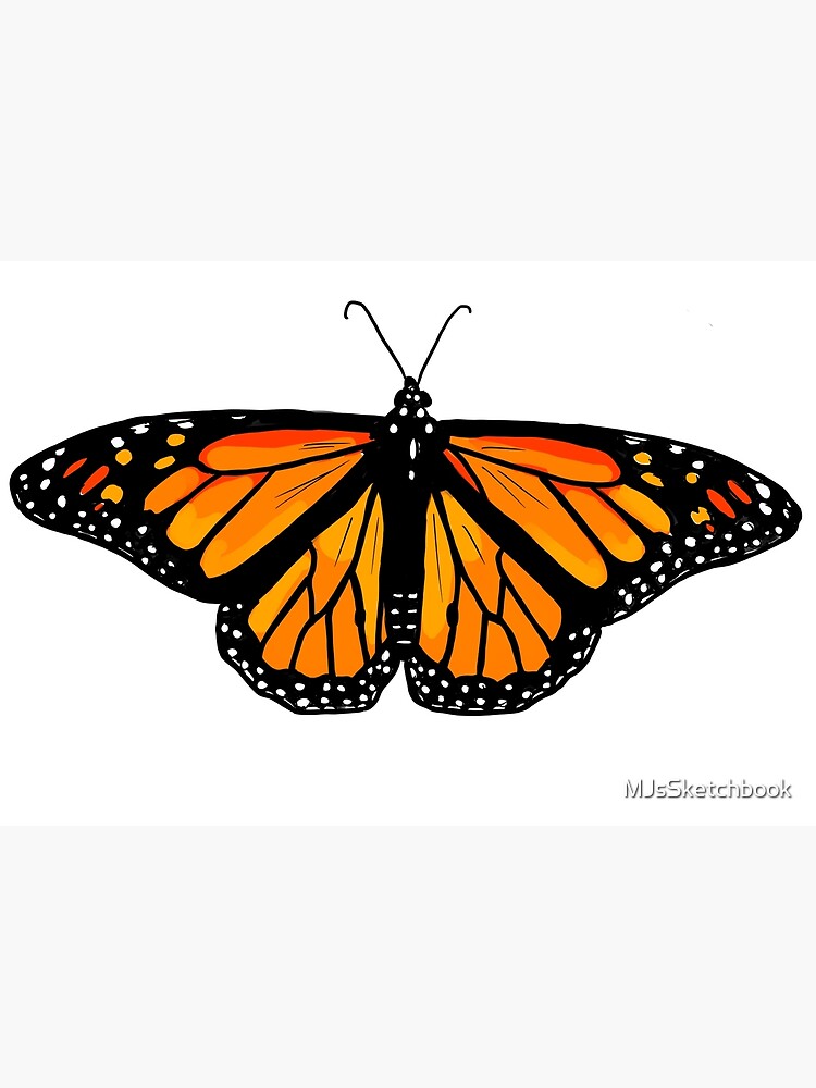 Monarch Butterfly Insect Nature Illustration Poster For Sale By Mjssketchbook Redbubble