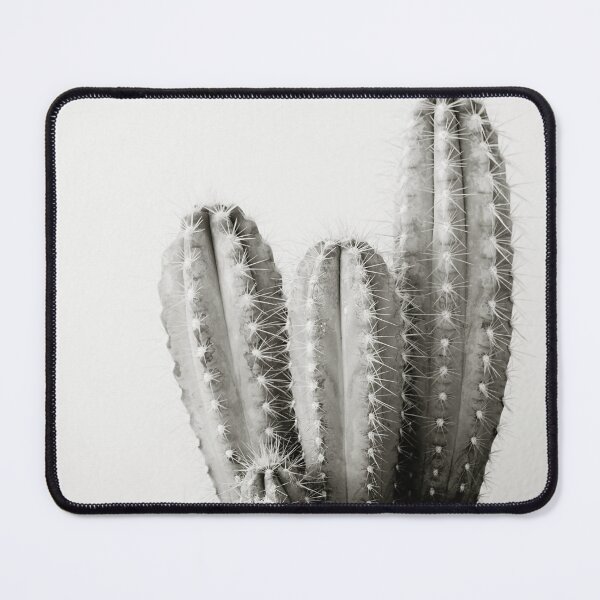 Item preview, Cactus Close-up in Black and White in Botanical Scandinavian Style designed and sold by CarolinaReina.
