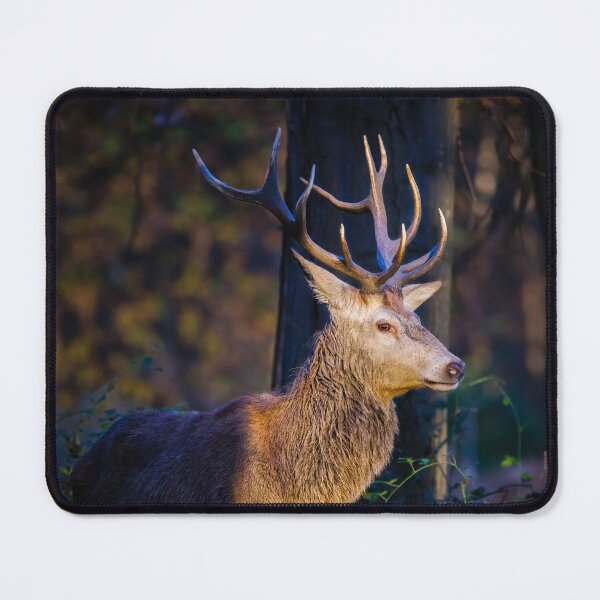 Item preview, Red Deer Stag designed and sold by Graham Prentice.