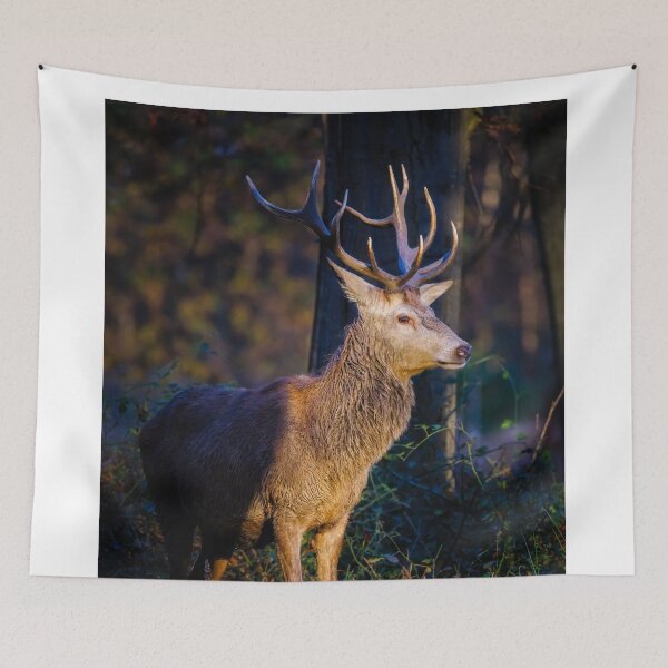 Item preview, Red Deer Stag designed and sold by Graham Prentice.