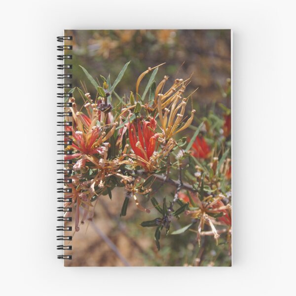 Item preview, Wild Honeysuckle (Lambertia multiflora) designed and sold by lezvee.