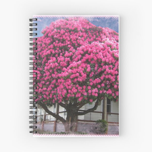 Item preview, Pink  Rhododendron in Warragul, Gippsland designed and sold by Bev Pascoe.