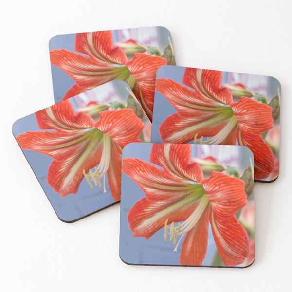 Item preview, Tania's Happy Hippy plants - Hippeastrum designed and sold by KazM.