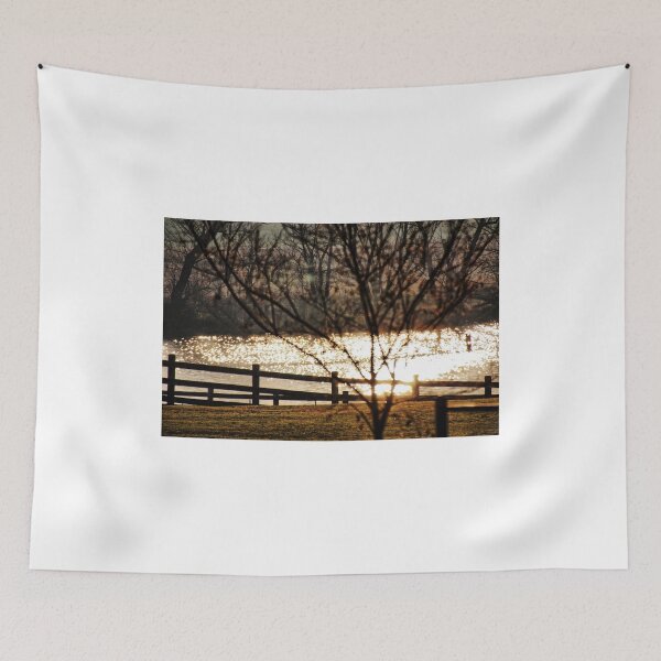 Item preview, Afternoon light. designed and sold by Ian Ramsay.