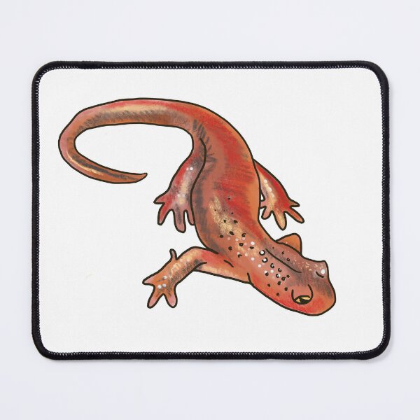 Item preview, Newt designed and sold by Allison Campbell.
