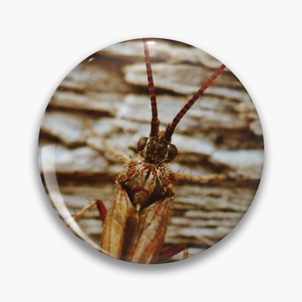 Item preview, Little Bug designed and sold by Rochho.