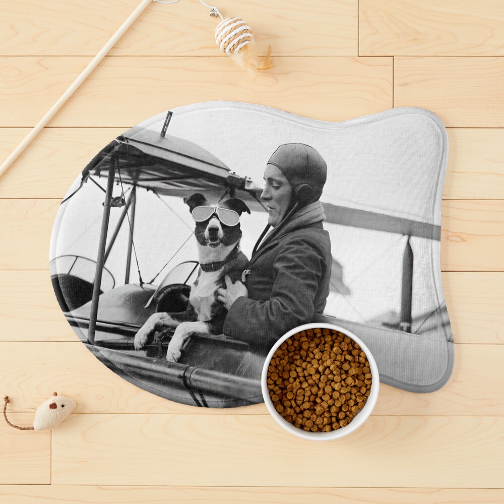 Item preview, Cat Mat designed and sold by modernretro.