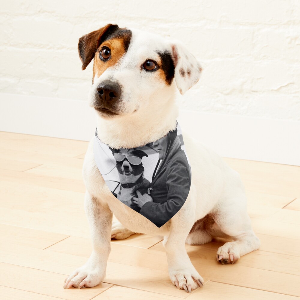Item preview, Pet Bandana designed and sold by modernretro.