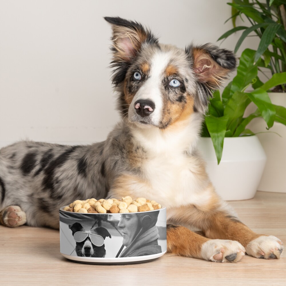 Item preview, Pet Bowl designed and sold by modernretro.