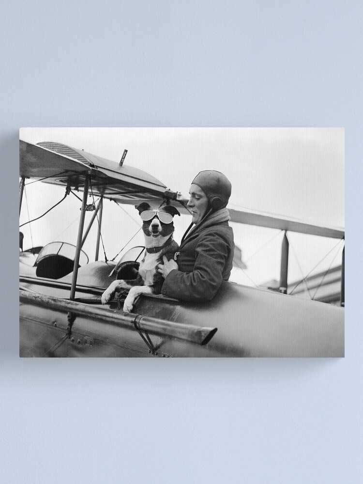Thumbnail 2 of 3, Canvas Print, Woman Pilot and Dog, Black and White, Vintage Art designed and sold by modernretro.