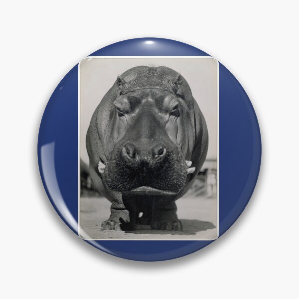 Item preview, HIPPO-THE SECOND LARGEST LAND ANIMAL designed and sold by Night-parade.