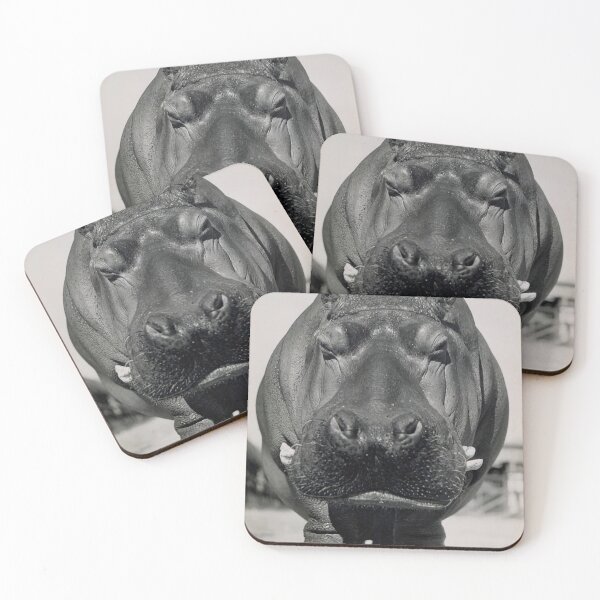 Item preview, HIPPO-THE SECOND LARGEST LAND ANIMAL designed and sold by Night-parade.