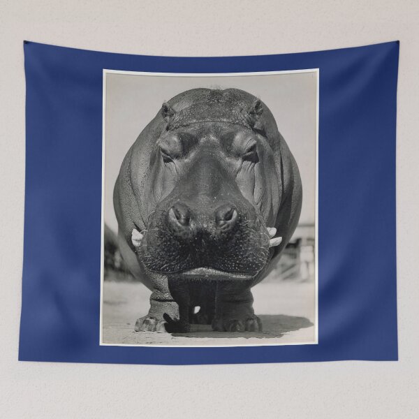 Item preview, HIPPO-THE SECOND LARGEST LAND ANIMAL designed and sold by Night-parade.