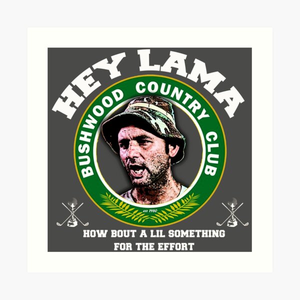 Hey Lama how bout a lil something for the effort Art Print