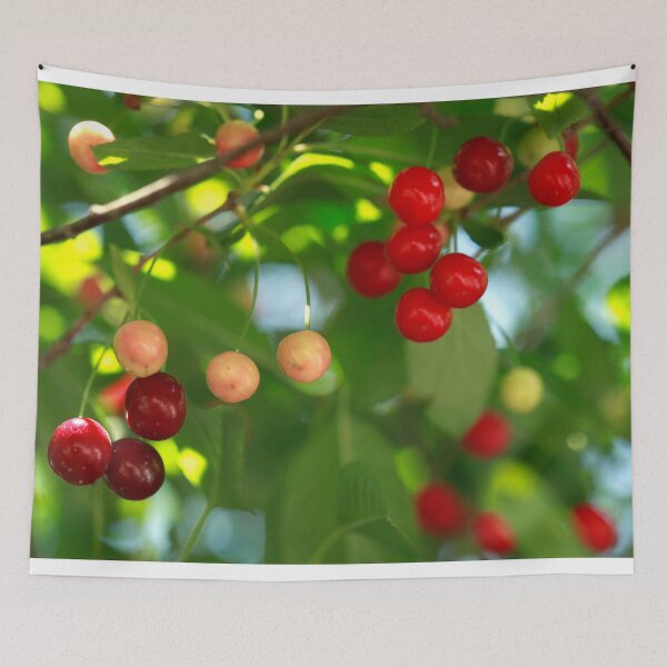 Item preview, Red sweet cherries on tree designed and sold by olena2552.