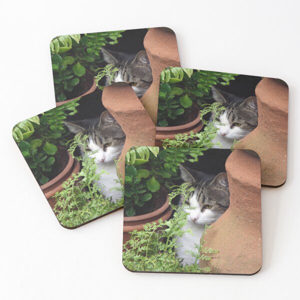 Item preview, This Is My Peaceful Place designed and sold by heatherfriedman.