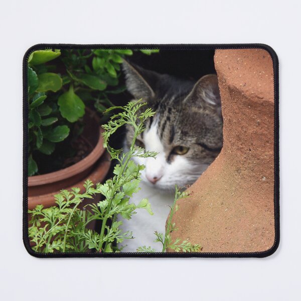 Item preview, This Is My Peaceful Place designed and sold by heatherfriedman.