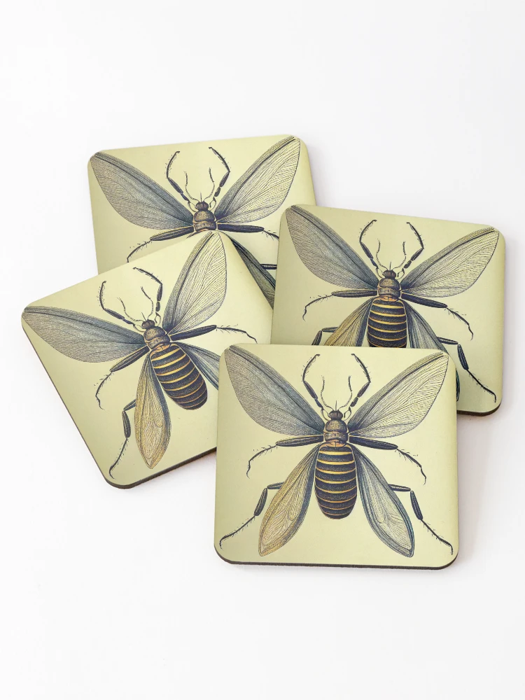 Thumbnail 1 of 5, Coasters (Set of 4), A Rare Insect designed and sold by CountingDeep.
