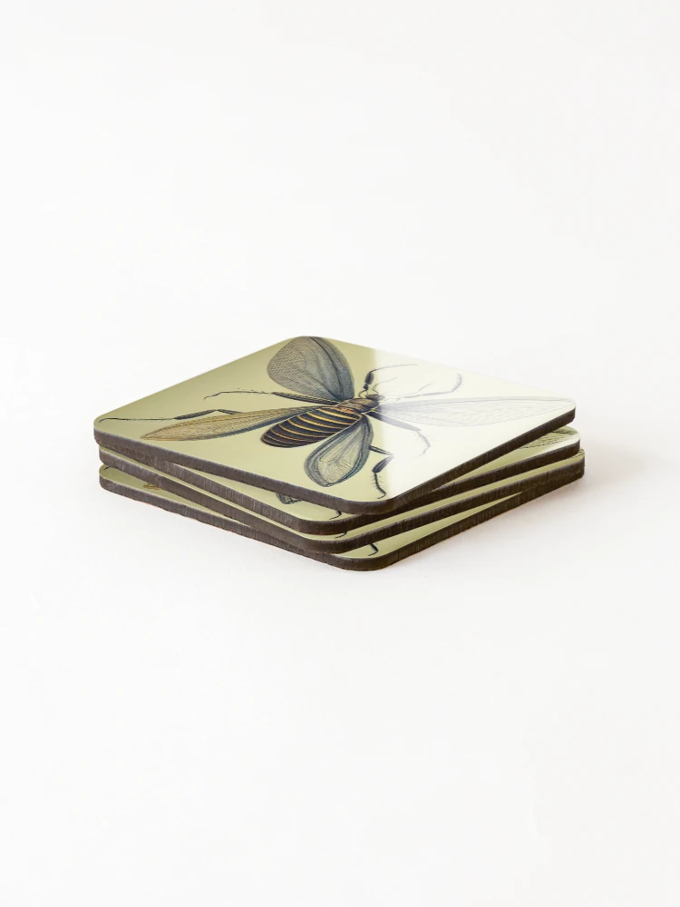 Thumbnail 4 of 5, Coasters (Set of 4), A Rare Insect designed and sold by CountingDeep.