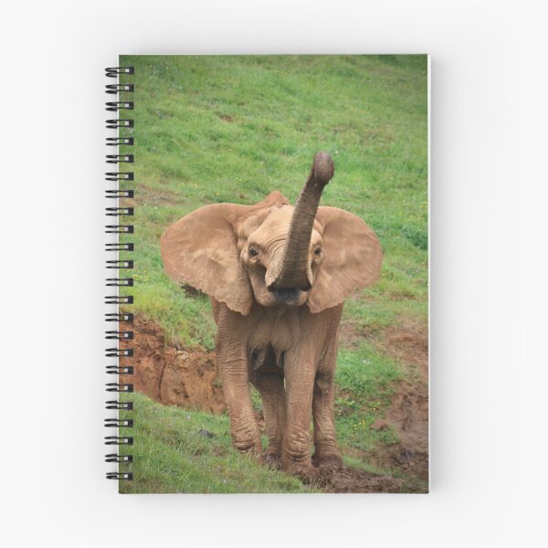 Item preview, Magnificent matriarch designed and sold by missmoneypenny.