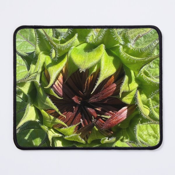 Item preview, Birthing the New! designed and sold by Photomersion.