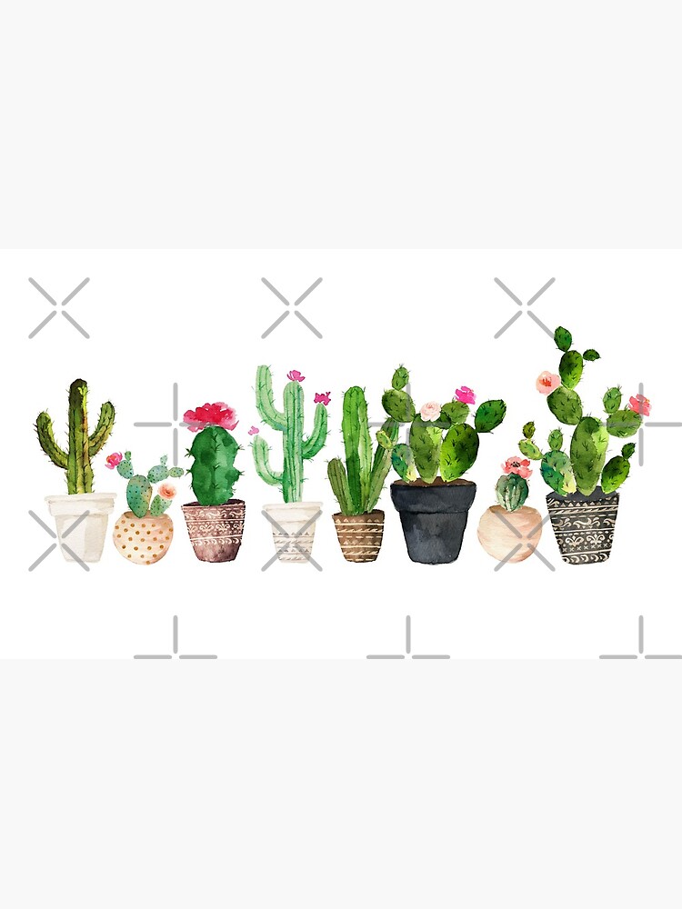 Cactus by BekkaCampbell