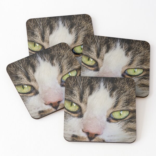 Item preview, Cat Face Long Hair Male Cutest Cat Pics designed and sold by CutestCatPics.
