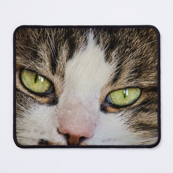 Item preview, Cat Face Long Hair Male Cutest Cat Pics designed and sold by CutestCatPics.