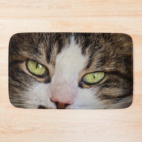 Item preview, Cat Face Long Hair Male Cutest Cat Pics designed and sold by CutestCatPics.