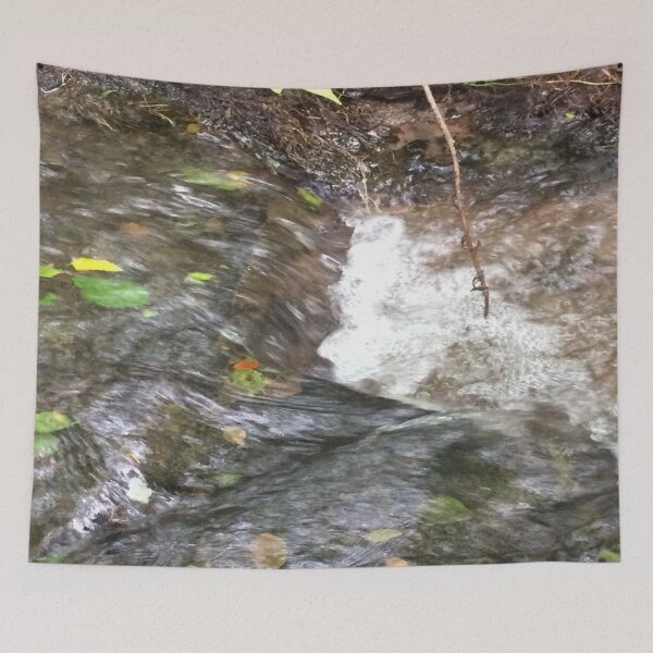 Item preview, Tiny Creek Through the Woods designed and sold by CJRPics.
