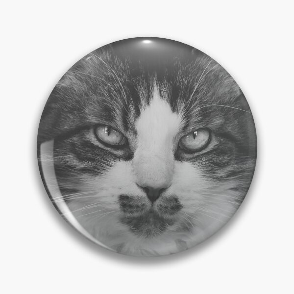 Item preview, Cat Sitting On Chair Black And White Cutest Cat Pics designed and sold by CutestCatPics.