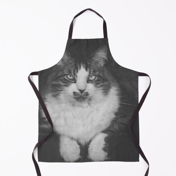Item preview, Cat Sitting On Chair Black And White Cutest Cat Pics designed and sold by CutestCatPics.