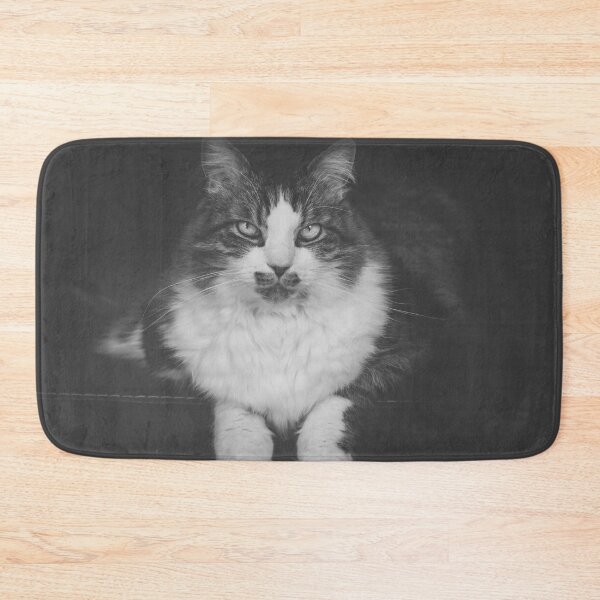 Item preview, Cat Sitting On Chair Black And White Cutest Cat Pics designed and sold by CutestCatPics.