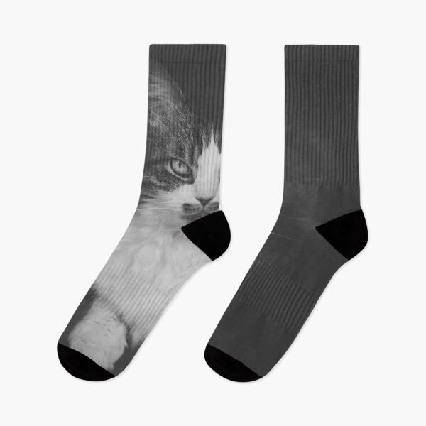 Item preview, Cat Sitting On Chair Black And White Cutest Cat Pics designed and sold by CutestCatPics.