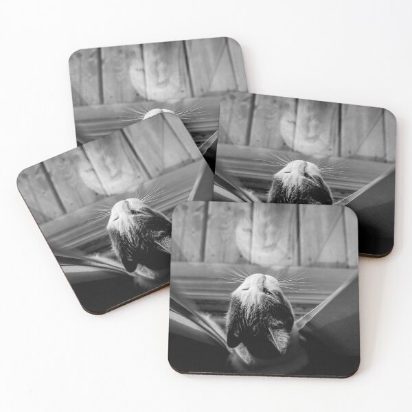 Item preview, Cat Looking Out Window Black And White Reflection Cutest Cat Pics designed and sold by CutestCatPics.