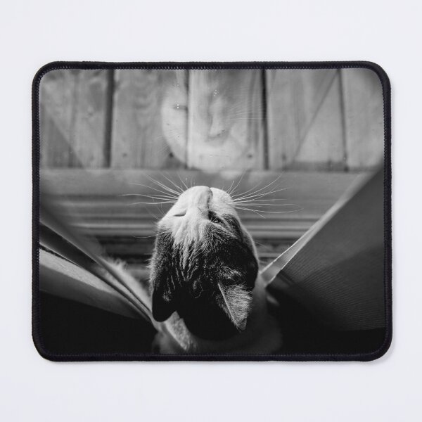 Item preview, Cat Looking Out Window Black And White Reflection Cutest Cat Pics designed and sold by CutestCatPics.