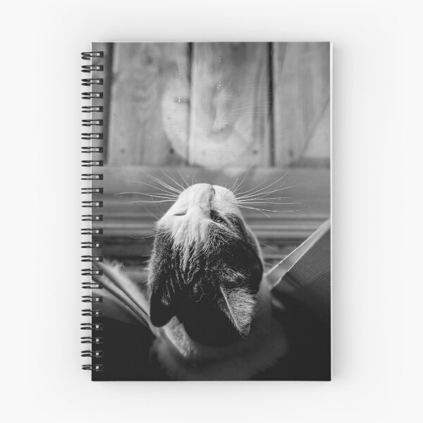 Item preview, Cat Looking Out Window Black And White Reflection Cutest Cat Pics designed and sold by CutestCatPics.