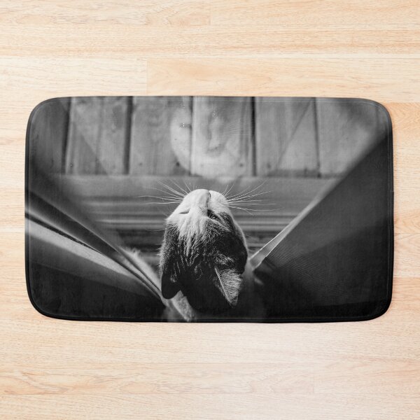 Item preview, Cat Looking Out Window Black And White Reflection Cutest Cat Pics designed and sold by CutestCatPics.