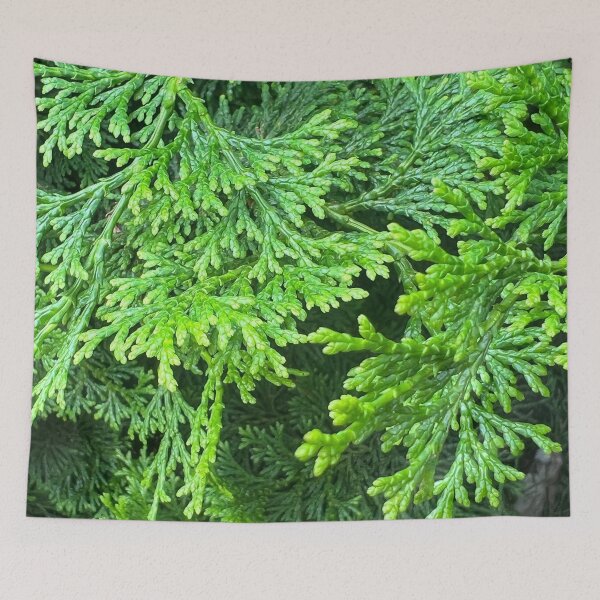 Item preview, Forest Ever Green designed and sold by Photomersion.