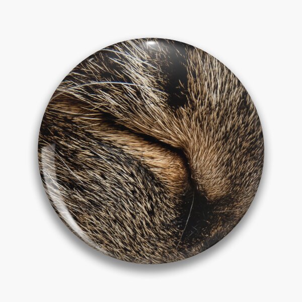 Item preview, Cat Eyes Closed Close Cutest Cat Pics designed and sold by CutestCatPics.